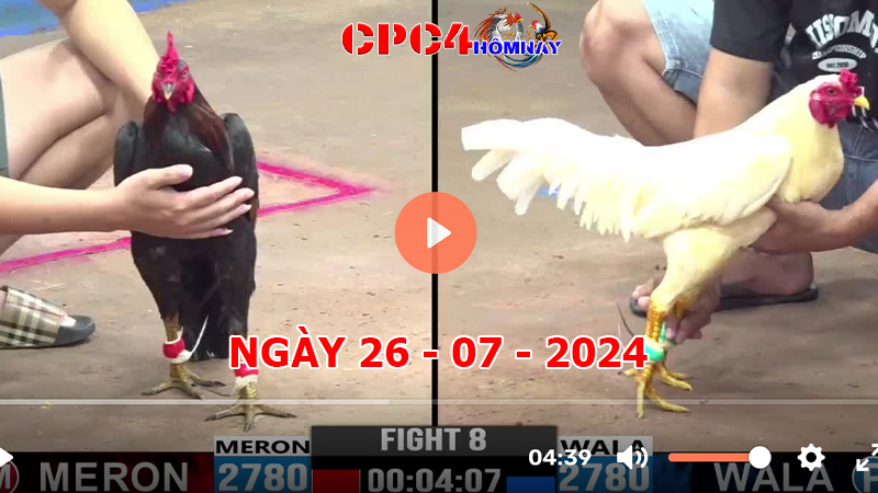 Trực tiếp đá gà C4 ngày 26-7-2024