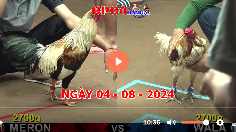 Trực tiếp đá gà C4 ngày 04-8-2024