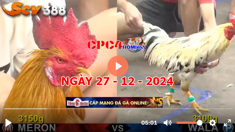 Đá gà C4 ngày 27-12-2024